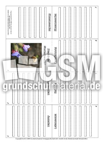 Faltbuch-Wollschweber.pdf
